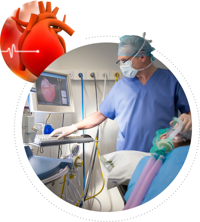 A masked healthcare professional in scrubs operates a computer displaying a 3D heart image while monitoring a sedated patient connected to anesthesia equipment
