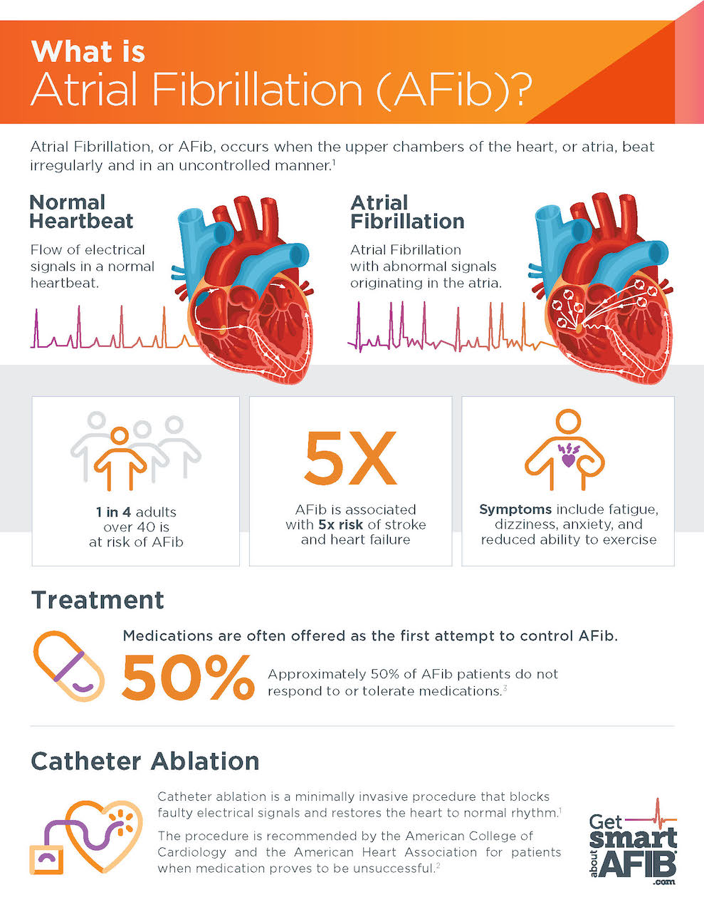 Electrophysiology - Village Heart and Vein